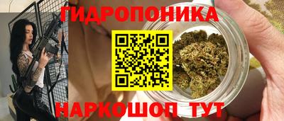 стаф Будённовск