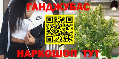 стаф Будённовск