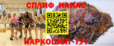 стаф Будённовск