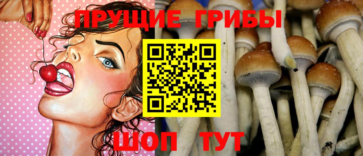 Псилоцибиновые грибы GOLDEN TEACHER Красноуфимск