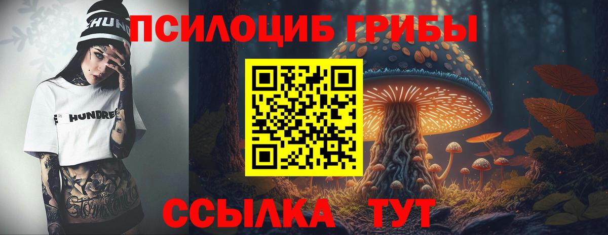Галлюциногенные грибы Psilocybe  Вход с VPN  Красноуфимск  Псилоцибиновые грибы ЛСД 