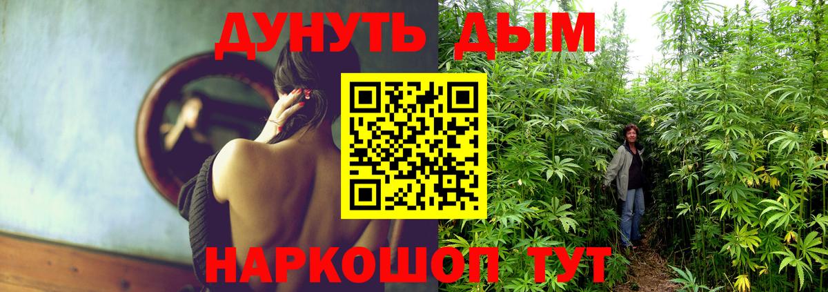 Канабис SATIVA & INDICA  Вход с VPN  Красноуфимск  Бошки Шишки White Widow  Марихуана план 